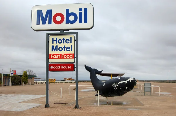 鲸鱼在旅馆 — 图库照片