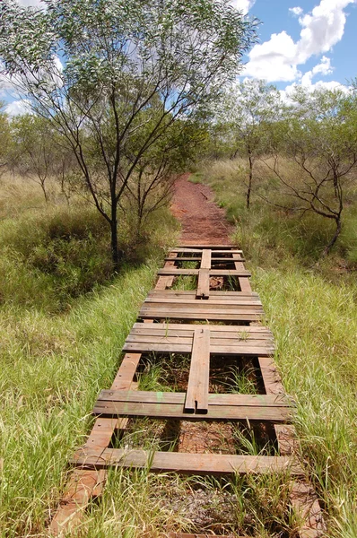 Walking track — Stock Photo, Image