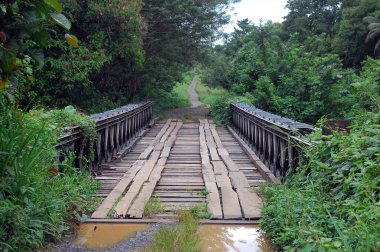 Timber bridge in Papua New Guinea clipart