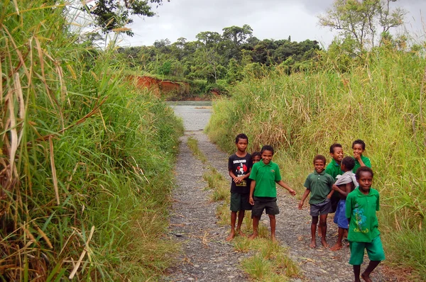 Crianças papuas na estrada — Fotografia de Stock