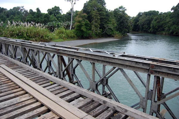 在巴布亚新几内亚木材桥 — 图库照片