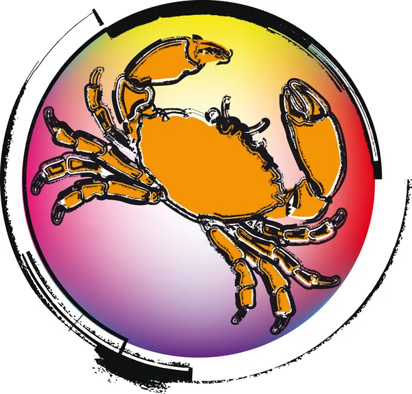 Crawfish. vector illustration — Stock Vector