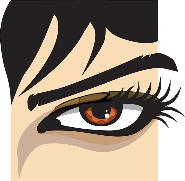 Illustration des yeux de femme — Image vectorielle