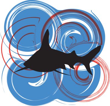 Shark illustration clipart