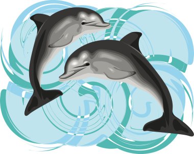 Dolphin vector illustration clipart