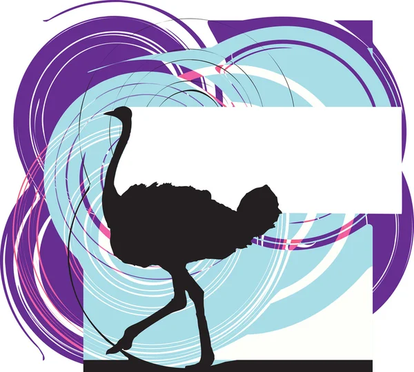 Struisvogel illustratie — Stockvector