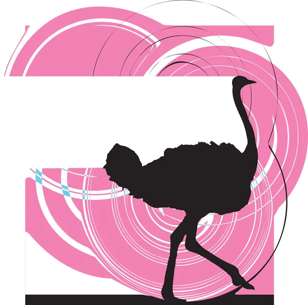 Ilustración de avestruz — Vector de stock