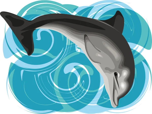 Dolphin vektorové ilustrace — Stockový vektor