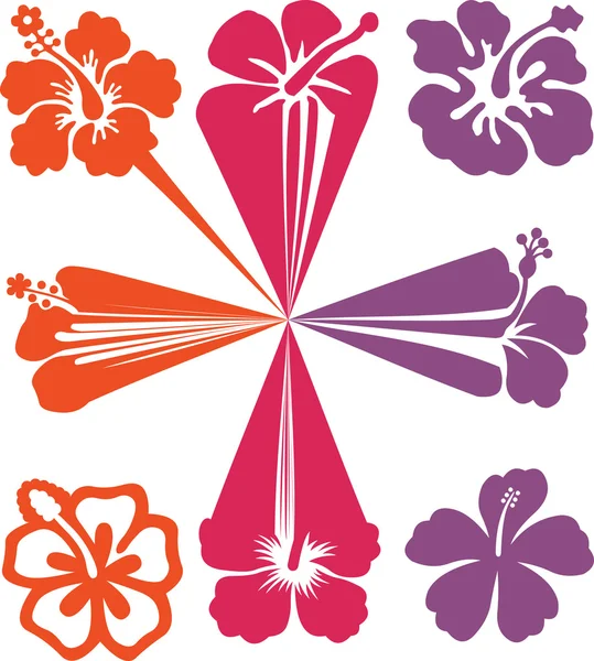 Abstracte bloemen illustraties. vectorillustratie — Stockvector