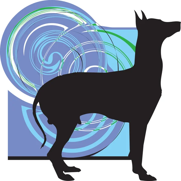 Hund, vektor illustration — Stock vektor