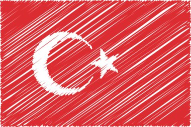 hindi bayrağı, vektör illüstrasyon
