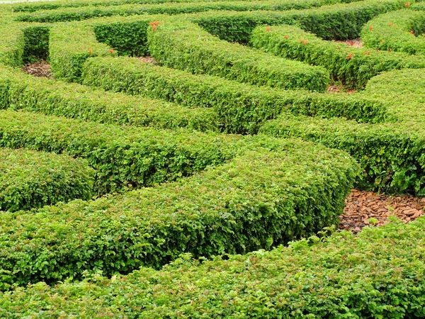 stock image Abstract background with cutting green plants