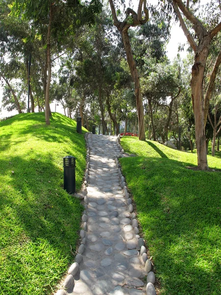 Garden stone path with grass growing up