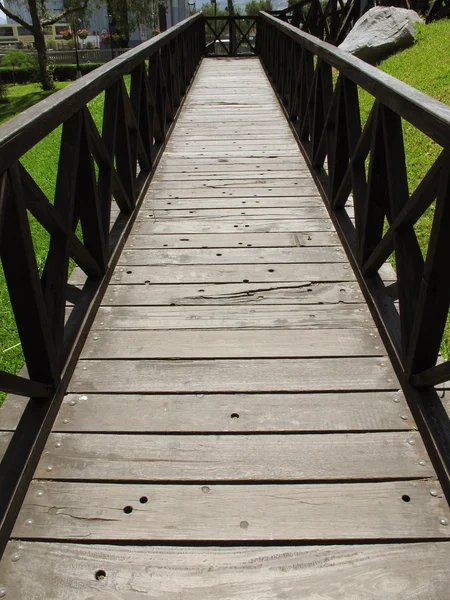 Висячий деревянный мост в лесу вдоль трекки — стоковое фото