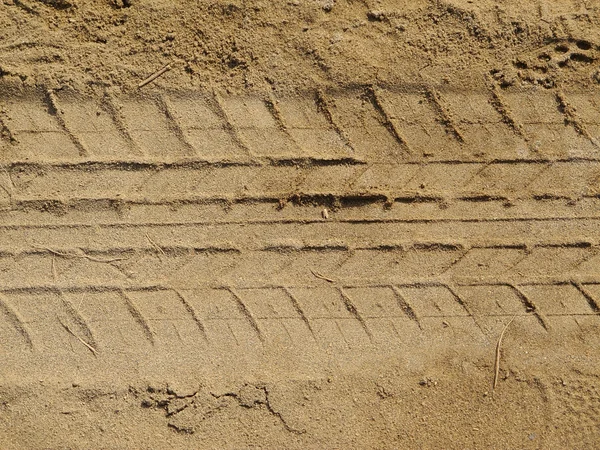Trilhas de carro na areia — Fotografia de Stock