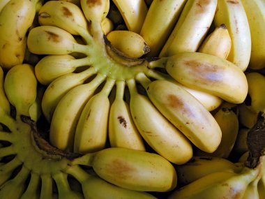 Bunch Of Ripe Bananas clipart