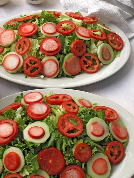 Mixed salad with lettuce, tomato and radish — Stock Photo, Image