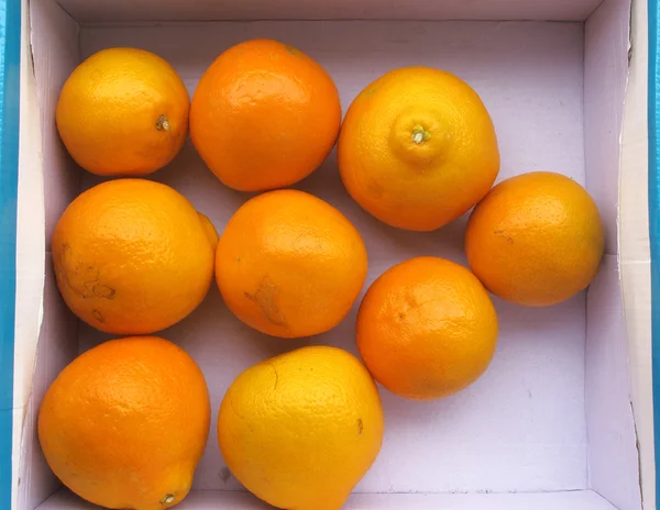 Fresh orange group — Stock Photo, Image