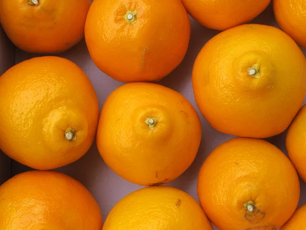 Färska orange grupp — Stockfoto