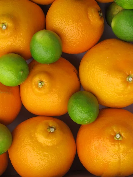 Orange & citron — Stockfoto