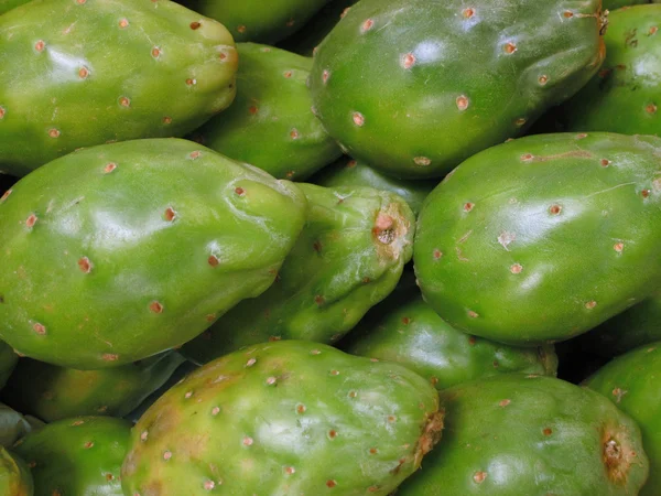 Green prickly pear — Stock Photo, Image