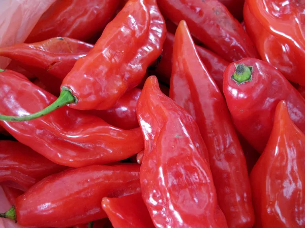 stock image Red hot chili pepper