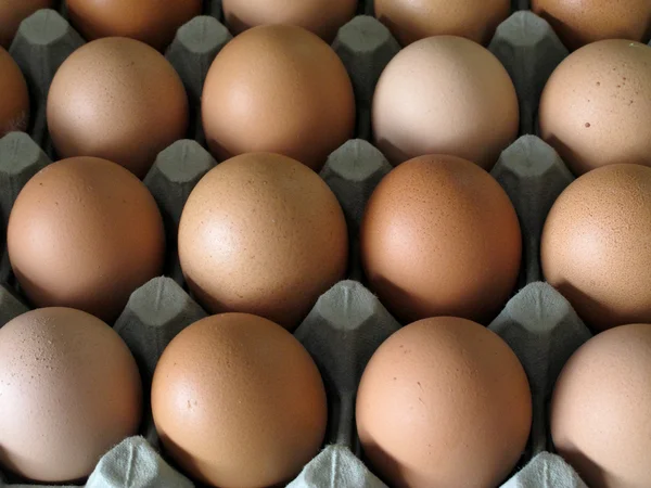 Fechar os ovos em recipiente de papelão — Fotografia de Stock