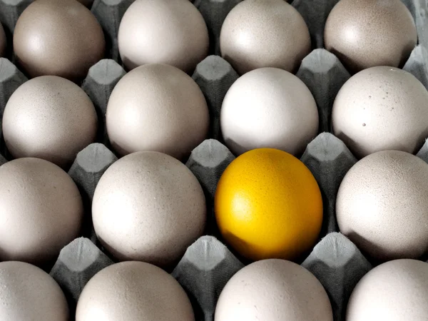 Nahaufnahme von goldenem Ei im Kartoncontainer — Stockfoto