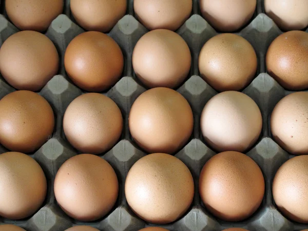 Großaufnahme von Eiern in Kartonagen — Stockfoto