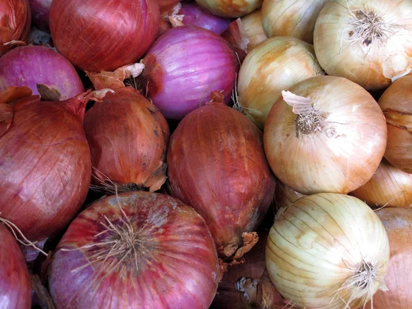 Close-up of fresh red & white onions — Stock Photo, Image