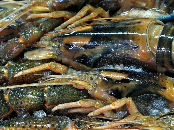 Tenger gyümölcsei jégen a halpiacon — Stock Fotó