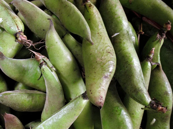 Fresh Green beans — Stock Photo, Image