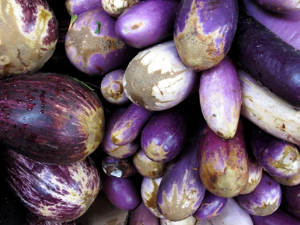 Ripe eggplant — Stock Photo, Image