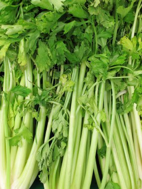 Bunch of celery sticks clipart