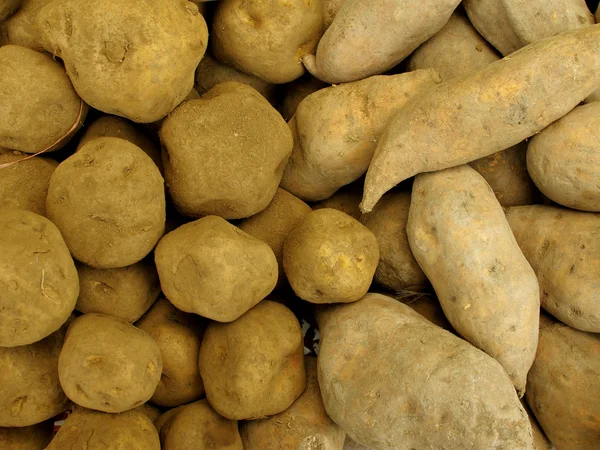 Yellow potato and sweet peruvian potato — Stock Photo, Image