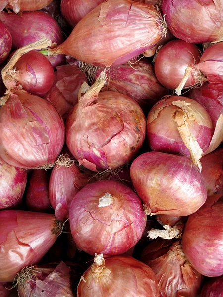 Close-up of fresh red onions — Stock Photo, Image