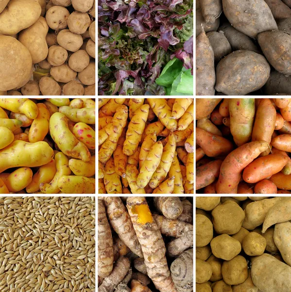 Group of peruvian vegetables — Stock Photo, Image