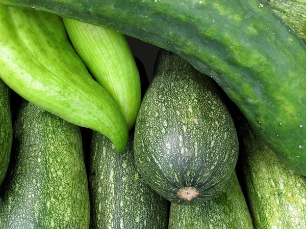 Fresh trays of zucchinis and cucumber — Stock Photo, Image