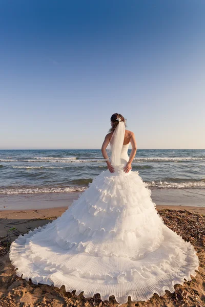 Невеста на пляже — стоковое фото