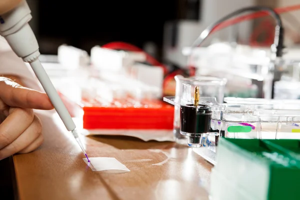 Préparation des échantillons pour l'électrophorèse de l'ADN — Photo