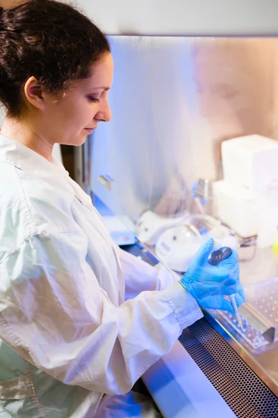 Onderzoeker werkt bij lab in een laminaire vak — Stockfoto