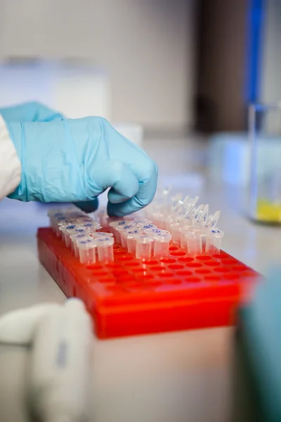 Biological sample preparation — Stock Photo, Image