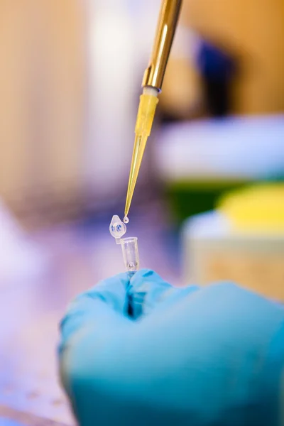 Przygotowanie próbki biologiczne — Zdjęcie stockowe