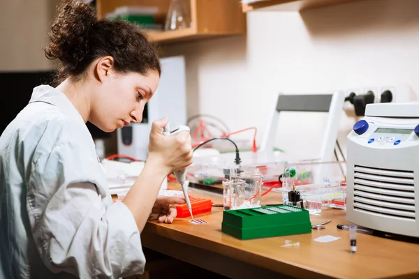 Researcher works at lab — Stock Photo, Image