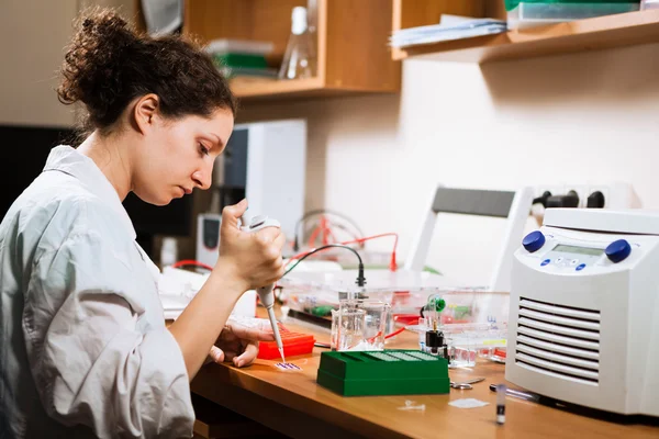 Researcher works at lab — Stock Photo, Image