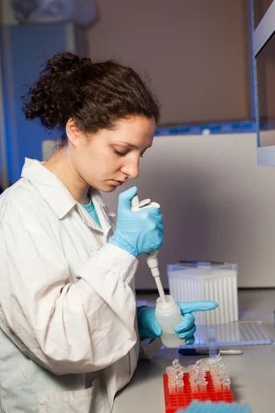 Biological sample preparation — Stock Photo, Image
