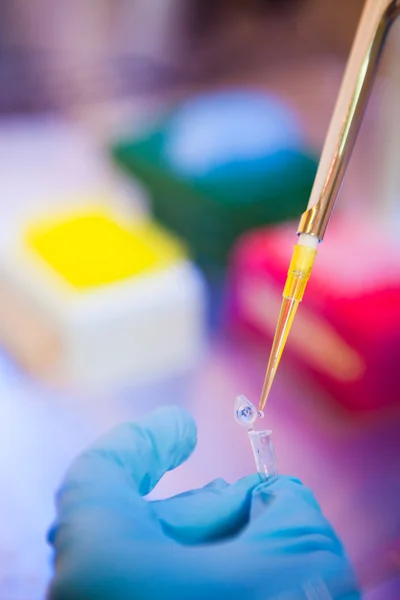 Biological sample preparation — Stock Photo, Image