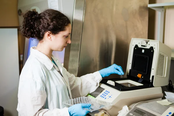 Carregando amostras de DNA para PCR — Fotografia de Stock