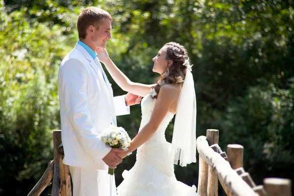 Bruiloft - gelukkige bruid en bruidegom — Stockfoto