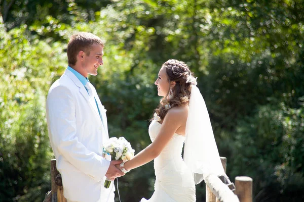 웨딩-행복 한 신부 및 신랑 스톡 사진